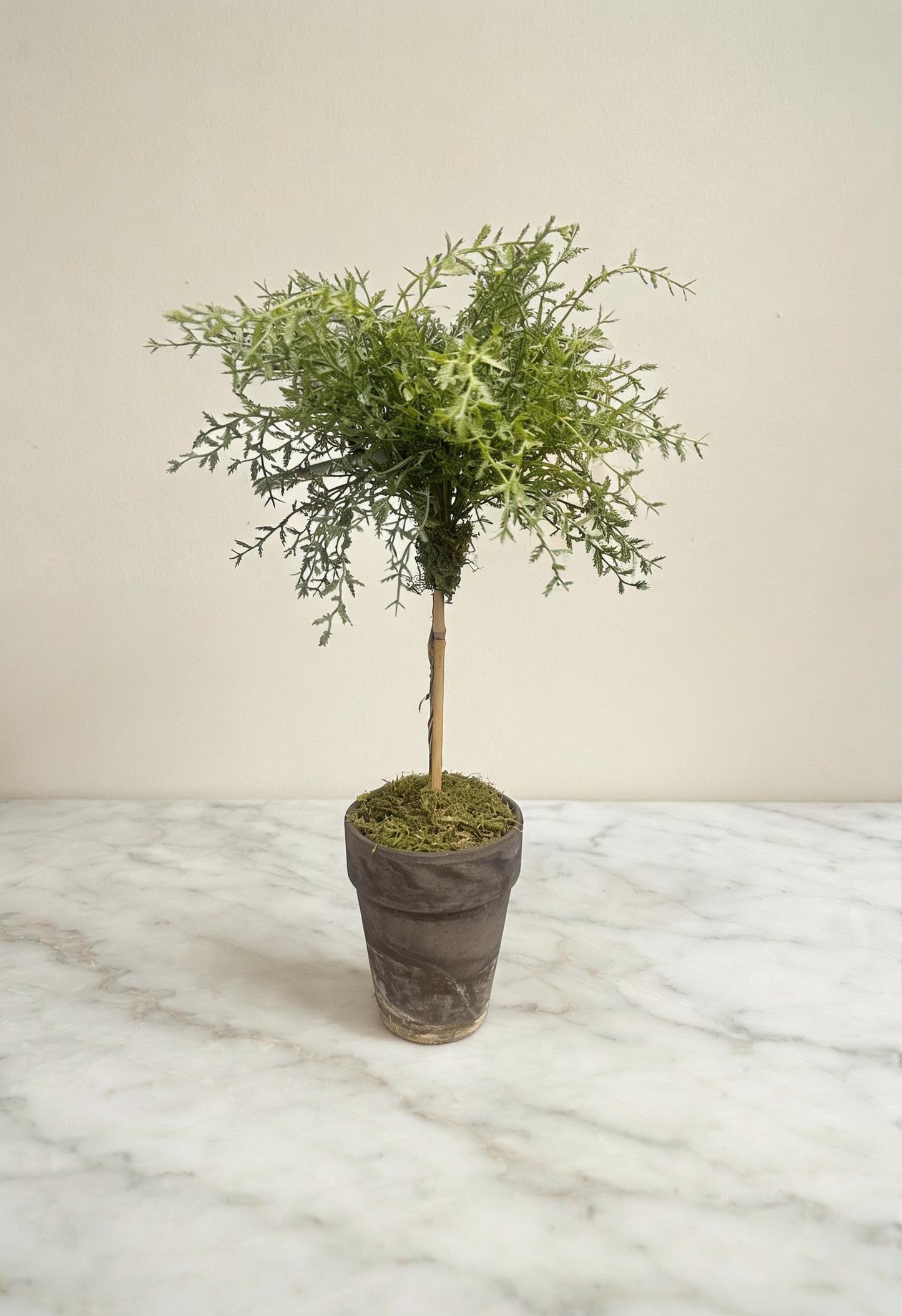 Faux Topiary