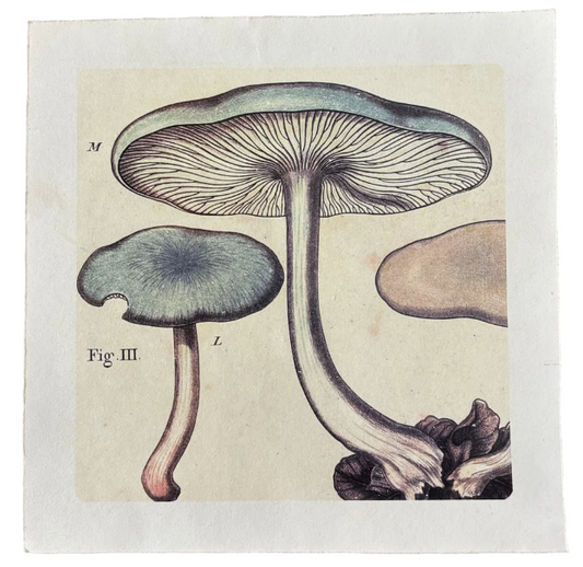 Blue Shrooms Art