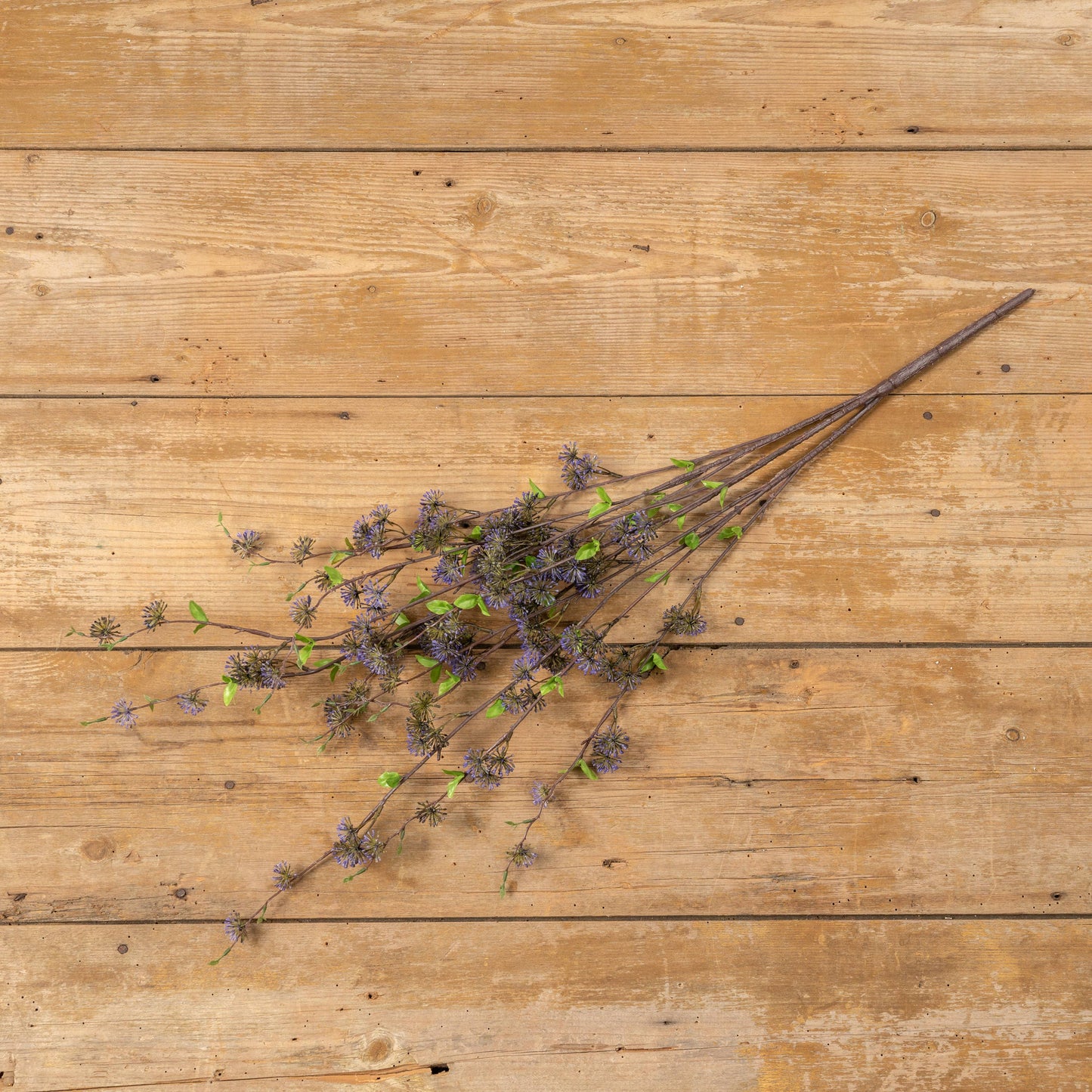 36" Purple Eucalyptus Seed Stem