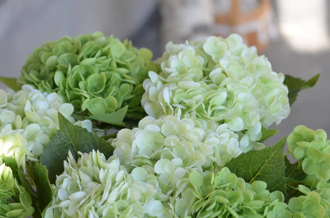 18"Hydrangea Stem
