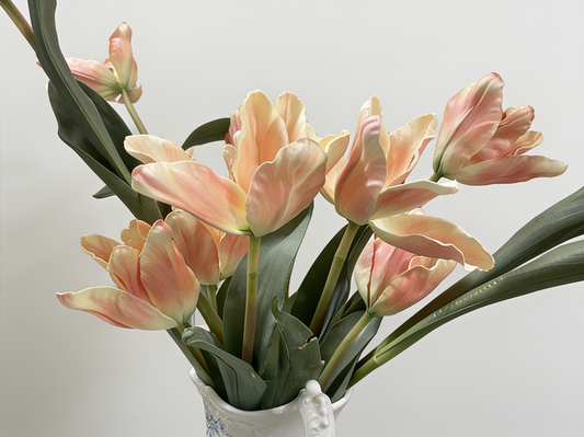 Apricot Tulip Stem
