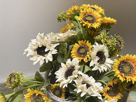 Sunflower Stem