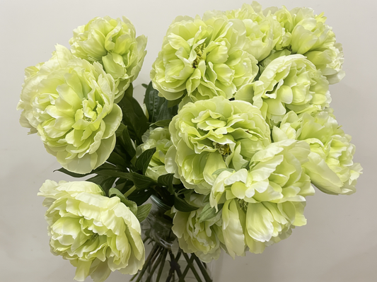 Peony Stem