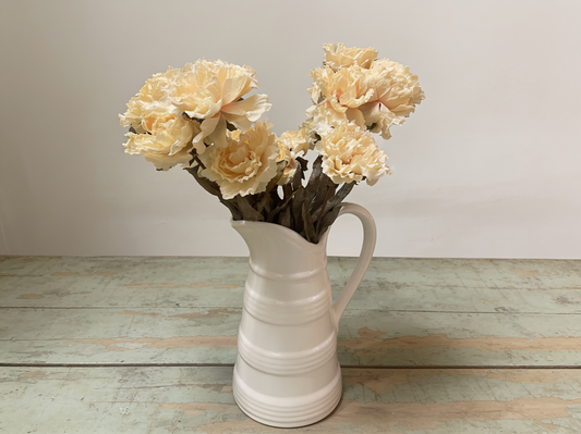 Carnation Stem